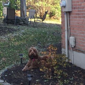 Meet your Posher, Gina